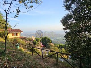 Villa in vendita a pietrasanta via riccio rebuto