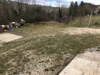 Terreno agricolo in vendita a monsampolo del tronto contrada pianelle, 2