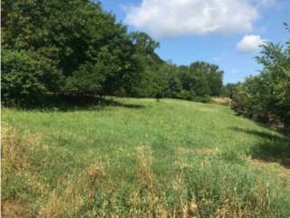 Terreno agricolo in vendita a poggibonsi via sangallo