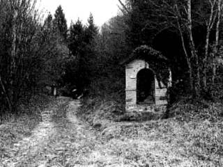 Terreno agricolo in vendita a seren del grappa via castellar