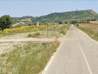 Terreno agricolo in vendita a guglionesi contrada padule