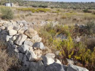 Terreno agricolo in vendita a scicli contrada iungi