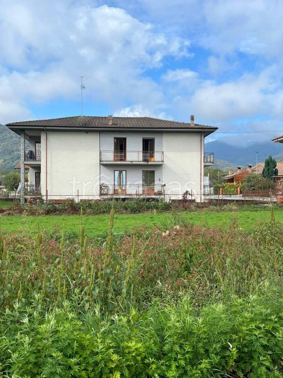 immagine annuncio 11 di 14