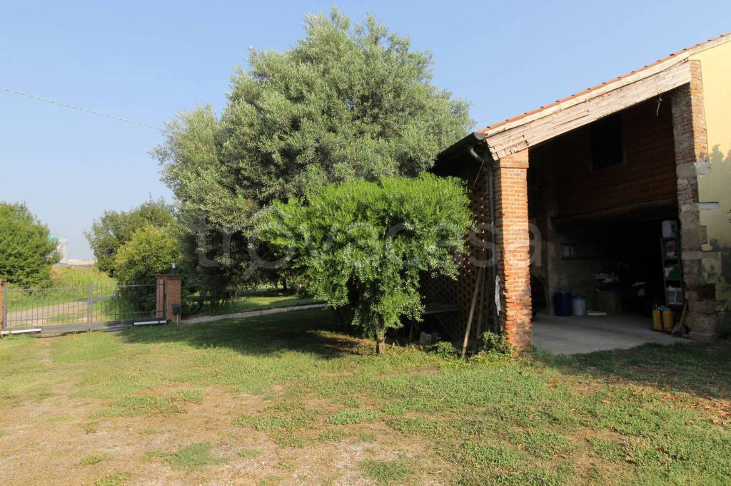 immagine annuncio 3 di 6
