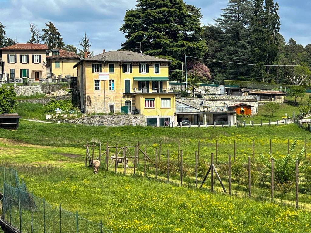 immagine annuncio 1 di 15