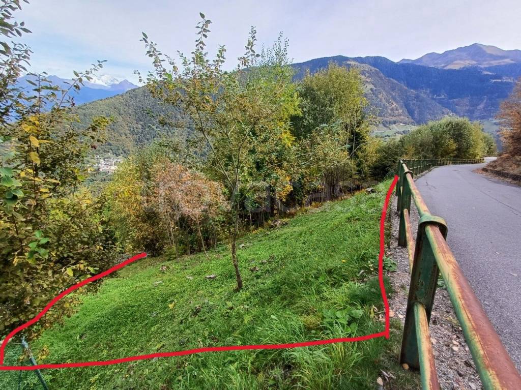 immagine annuncio 13 di 15