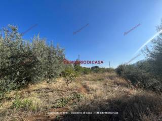 Terreno agricolo in vendita a ficarazzi corso umberto i, 662