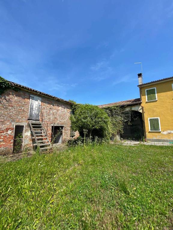 immagine annuncio 3 di 14