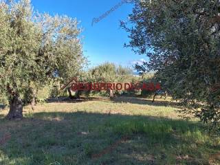 Terreno agricolo in vendita a cefalù via dell'imprenditoria, 14