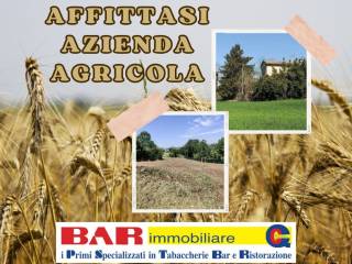 Terreno agricolo in affitto a granarolo dell'emilia 