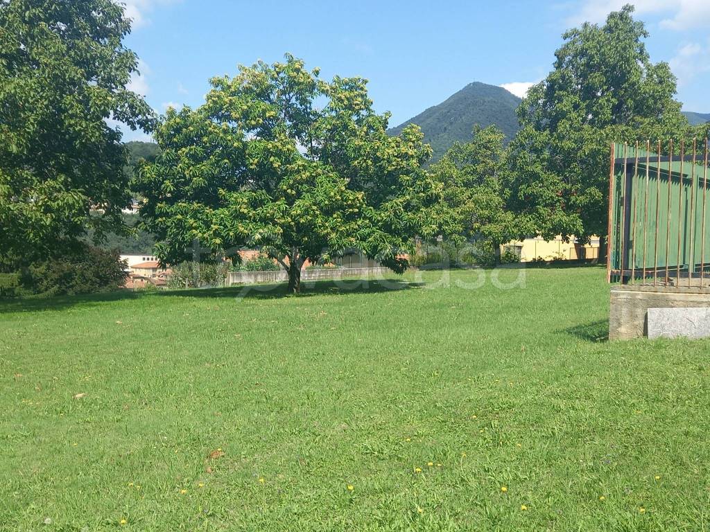 immagine annuncio 4 di 8