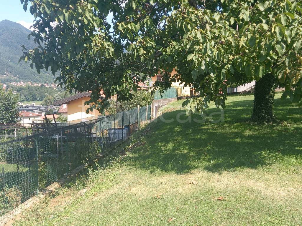 immagine annuncio 5 di 8