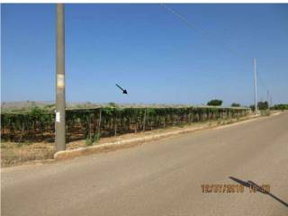 Terreno agricolo in vendita a polignano a mare contrada le macchie