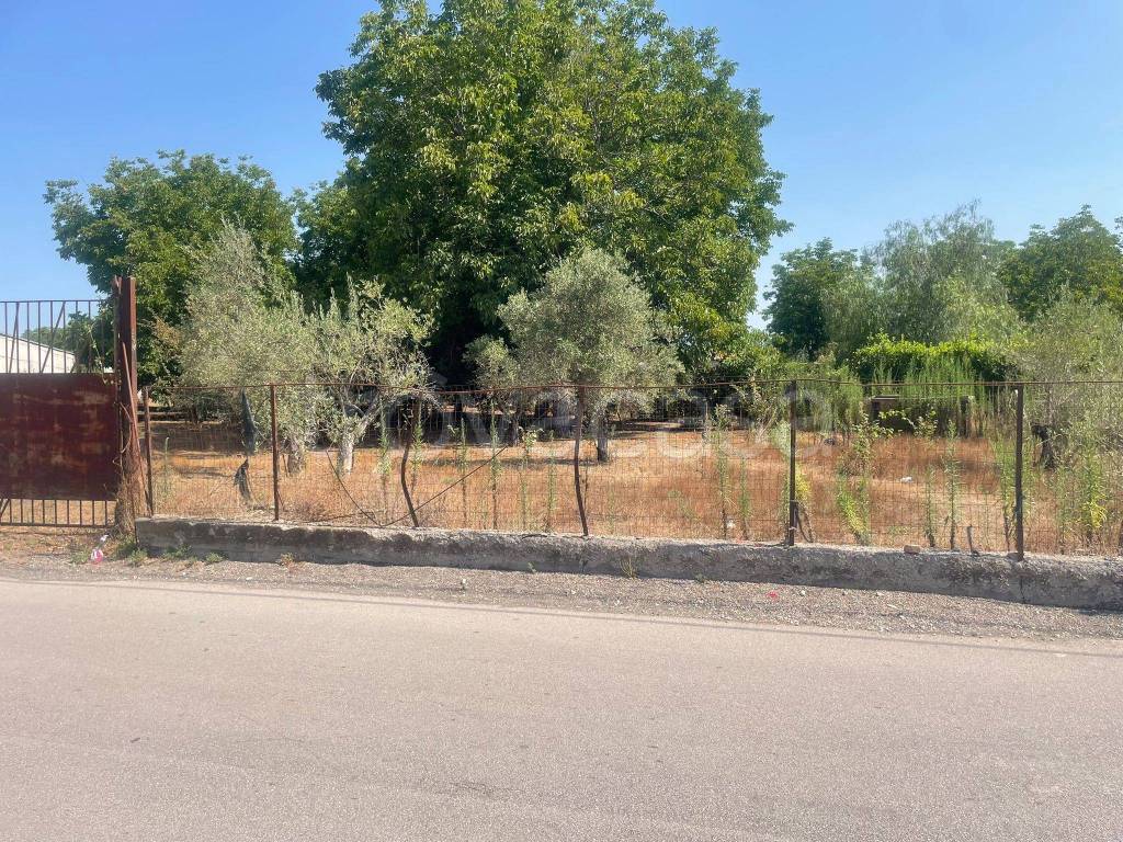immagine annuncio 4 di 11
