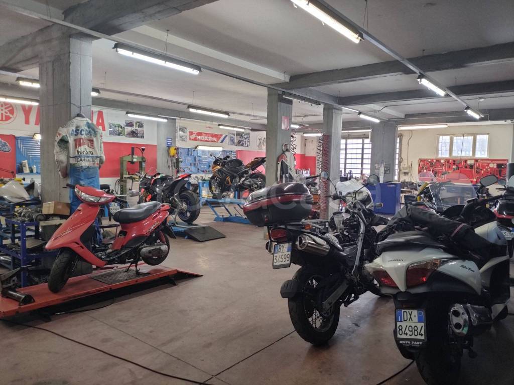immagine annuncio 7 di 15