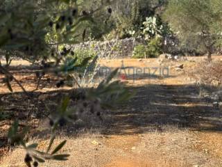 Terreno residenziale in vendita a carovigno 