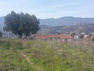 Terreno residenziale in vendita a montalto uffugo via san pietro