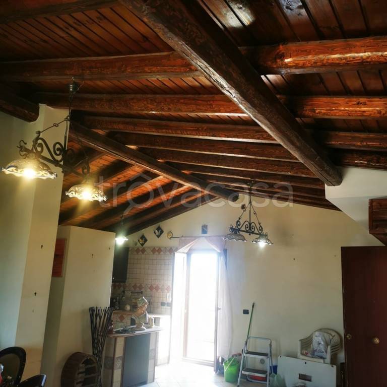 immagine annuncio 6 di 14