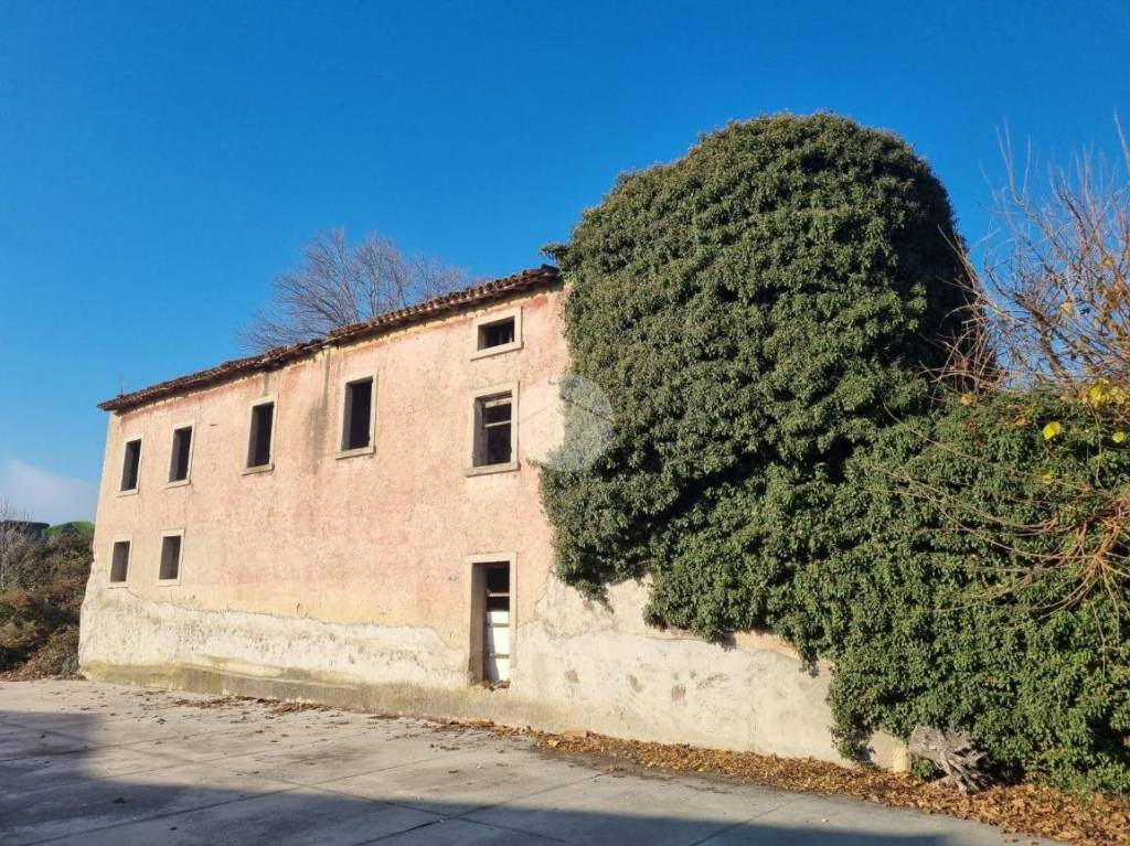 immagine annuncio 5 di 7