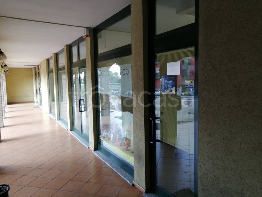 immagine annuncio 2 di 13