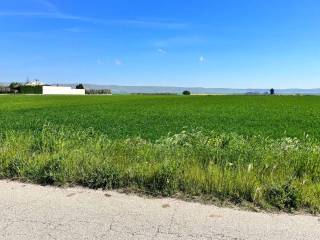 Terreno agricolo in vendita a gravina in puglia contrada dolcecanto s.n.c.