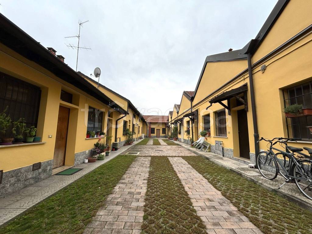 immagine annuncio 12 di 14