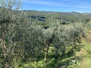 Terreno agricolo in vendita a fiesole via calcinaia