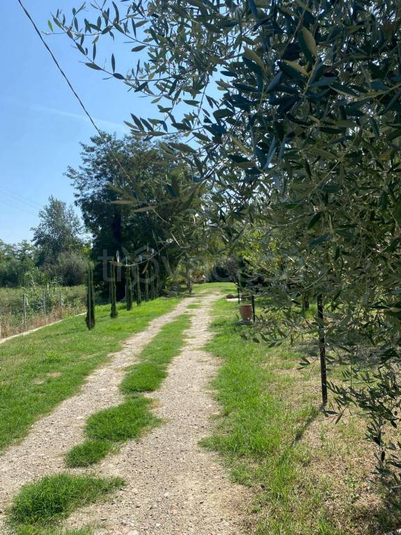 immagine annuncio 2 di 11