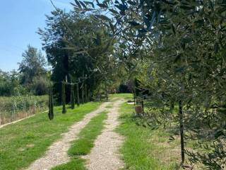 Terreno agricolo in vendita a castrocaro terme e terra del sole 