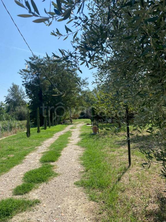 immagine annuncio 7 di 11