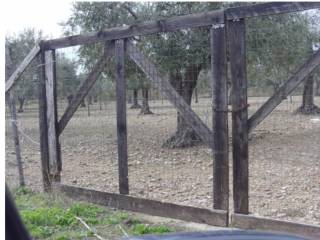 Terreno agricolo in vendita a ordona 