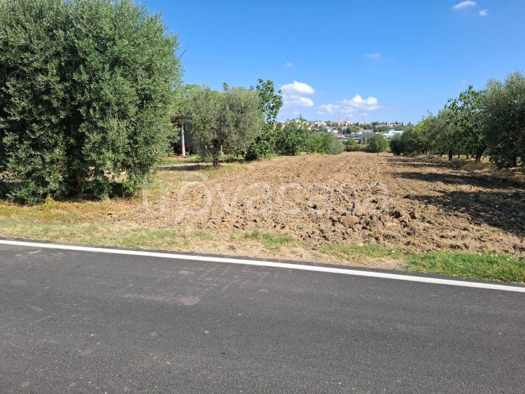 immagine annuncio 11 di 12