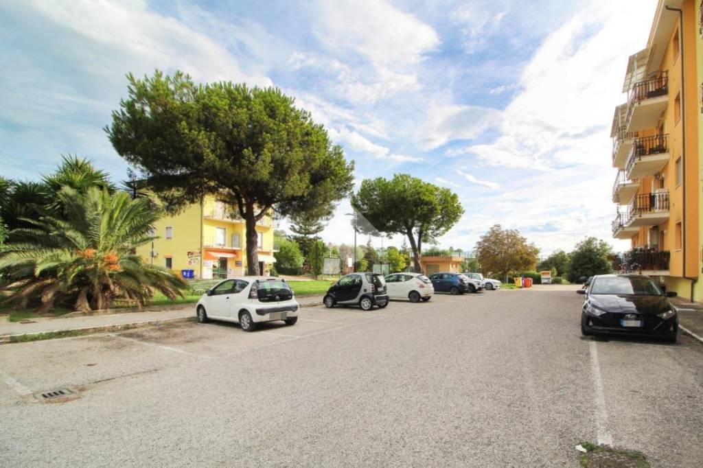 immagine annuncio 9 di 11