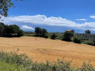 Terreno agricolo in vendita a moscufo contrada casale, 4