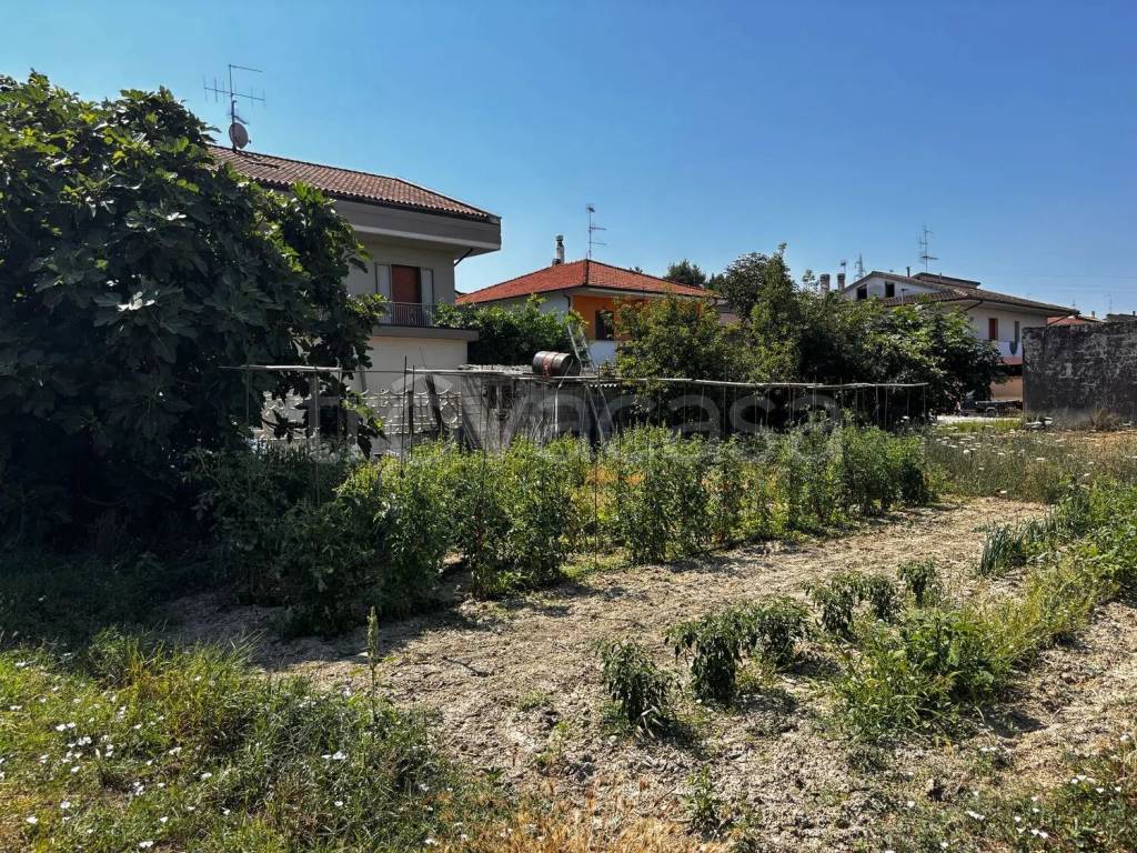 immagine annuncio 9 di 12