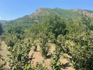 Terreno agricolo in vendita a mercato san severino via ciorani s.n.c.