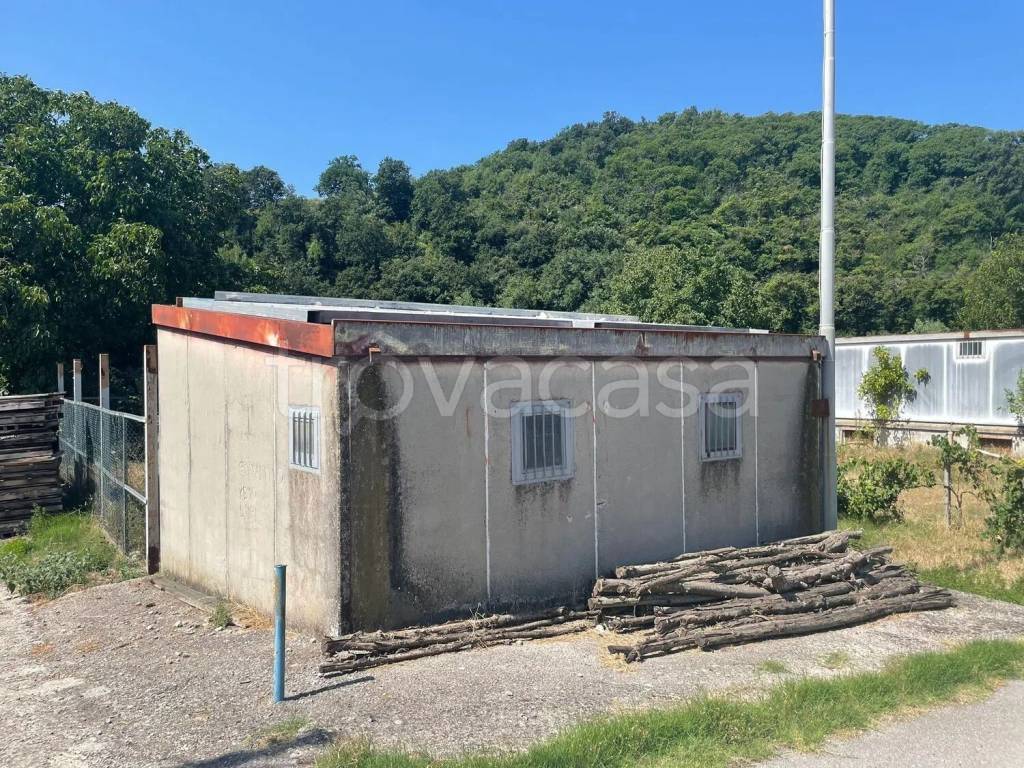 immagine annuncio 4 di 12