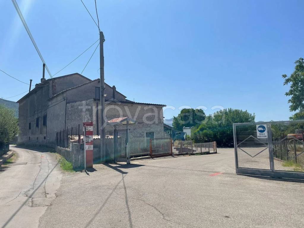 immagine annuncio 6 di 12