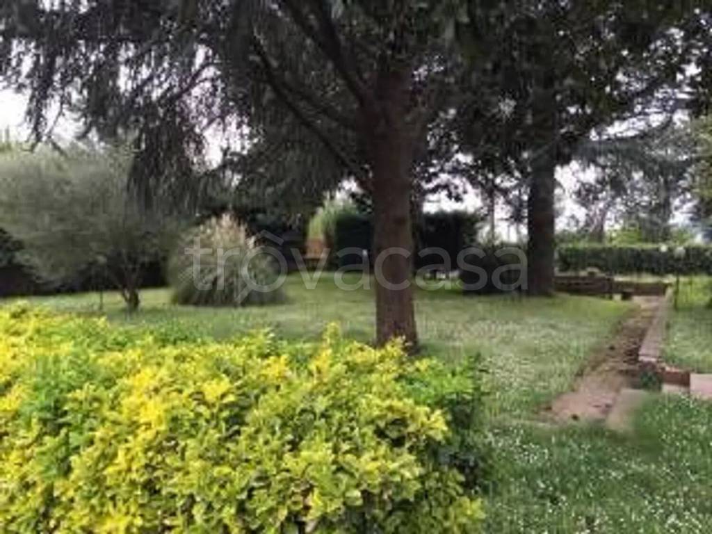 immagine annuncio 8 di 11