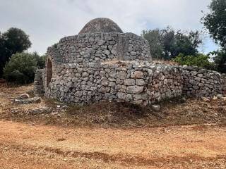 Terreno agricolo in vendita a san vito dei normanni contrada favone s.n.c.