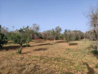 Terreno agricolo in vendita a san vito dei normanni strada per san vito