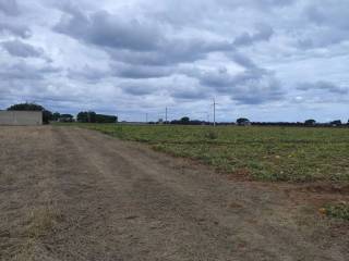 Terreno agricolo in vendita a brindisi strada statale 16