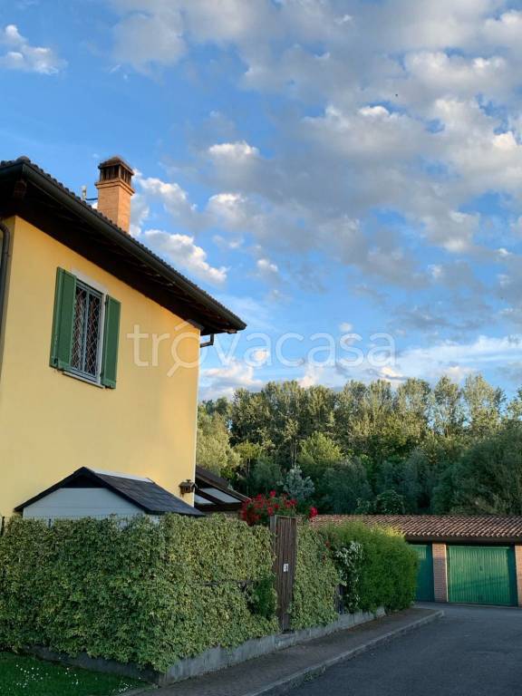 immagine annuncio 7 di 15