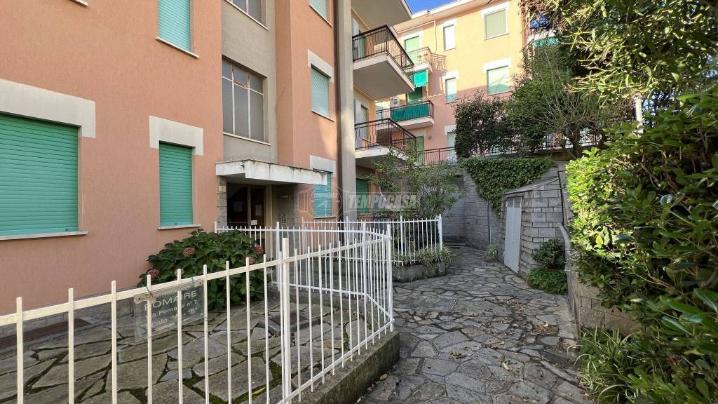 immagine annuncio 1 di 14