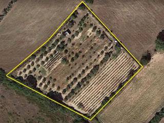 Terreno agricolo in vendita a san giovanni suergiu is loccis santus, 1