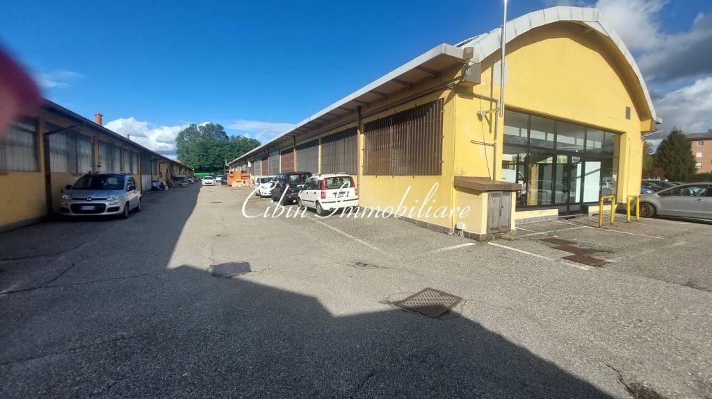 immagine annuncio 9 di 15