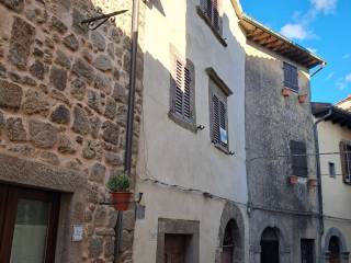 Casa indipendente in in vendita da privato a santa fiora via della ripa, 30