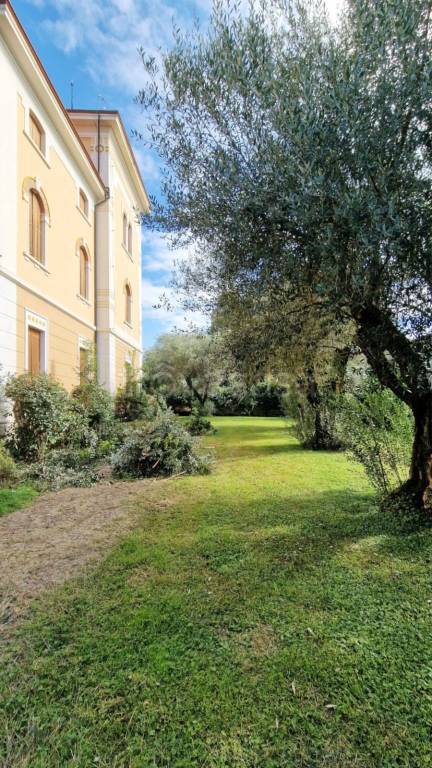 immagine annuncio 6 di 13