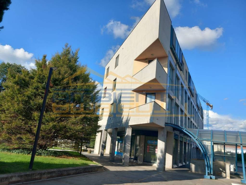 immagine annuncio 2 di 14