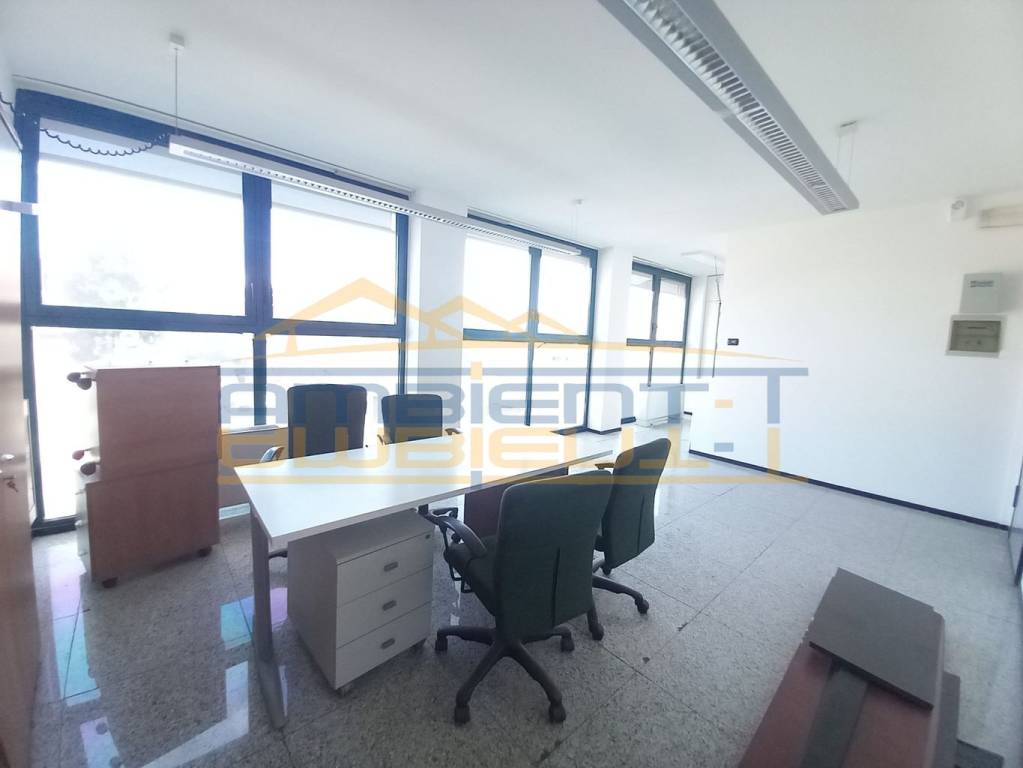 immagine annuncio 3 di 14